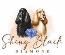 Shiny Black Diamond