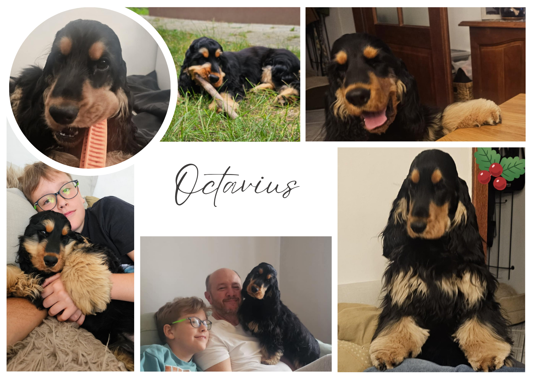 Octavius