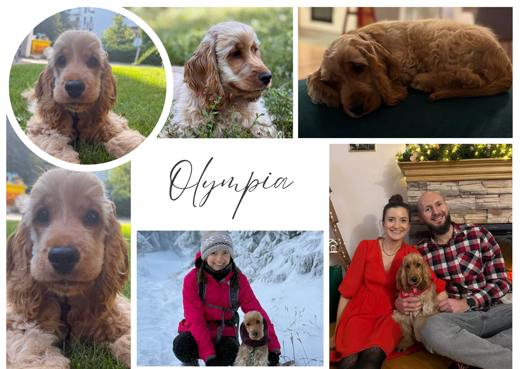 Olympia