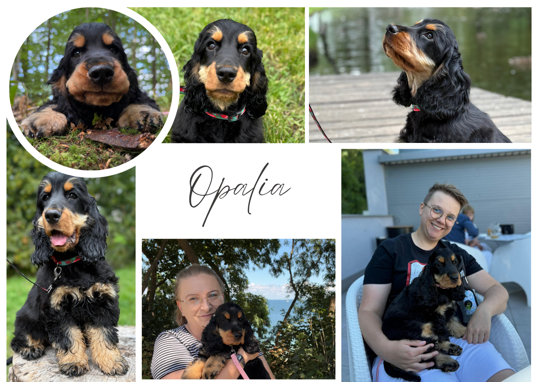 Opalia